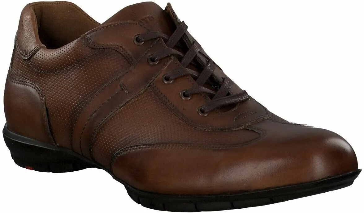Herren-Sneaker aus Leder 244221884900 (Braun)